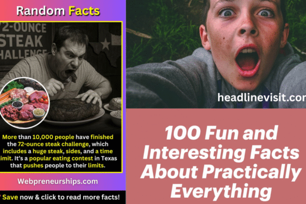 Fun Facts Lovelolablog